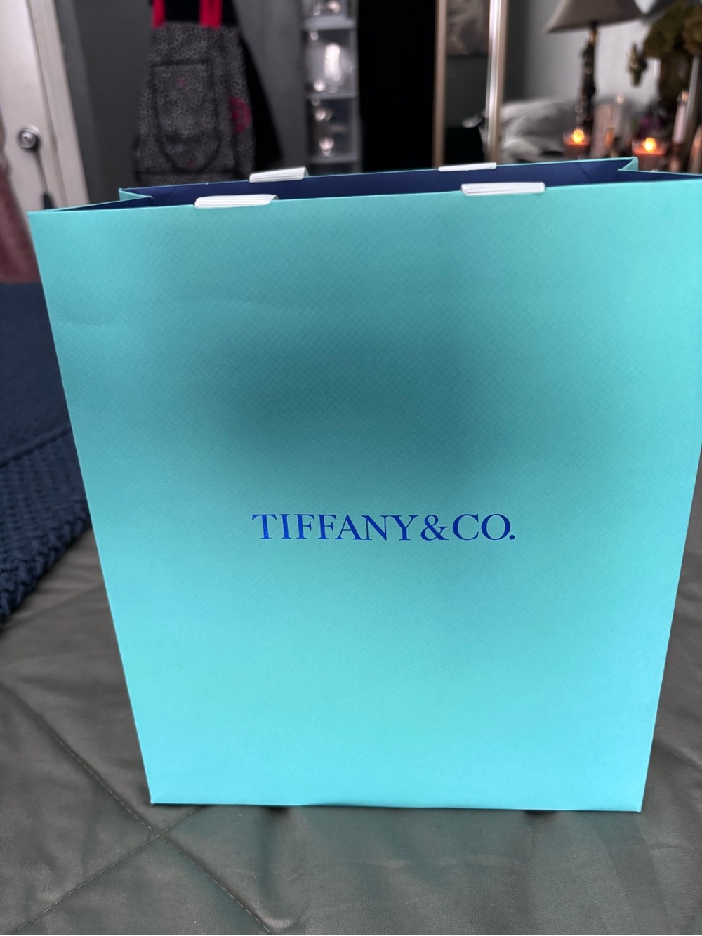 Tiffany & Co. Robin's Egg Blue Gift Bag with Blue Logo